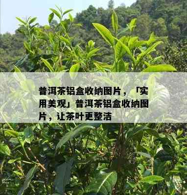 普洱茶铝盒收纳图片，「实用美观」普洱茶铝盒收纳图片，让茶叶更整洁