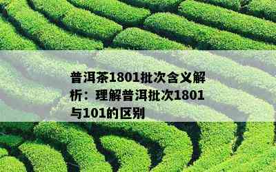 普洱茶1801批次含义解析：理解普洱批次1801与101的区别