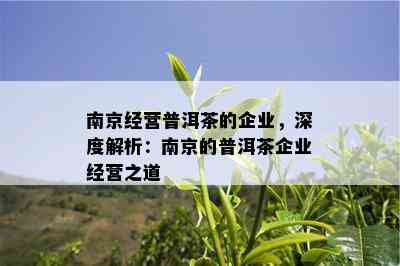 南京经营普洱茶的企业，深度解析：南京的普洱茶企业经营之道