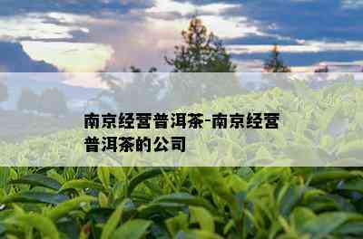 南京经营普洱茶-南京经营普洱茶的公司