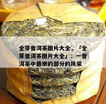 全芽普洱茶图片大全，「全芽普洱茶图片大全」：一普洱茶中最嫩的部分的风采