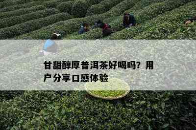 甘甜醇厚普洱茶好喝吗？客户分享口感体验