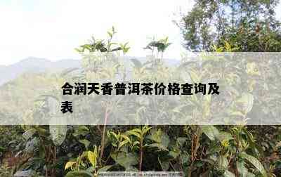 合润天香普洱茶价格查询及表