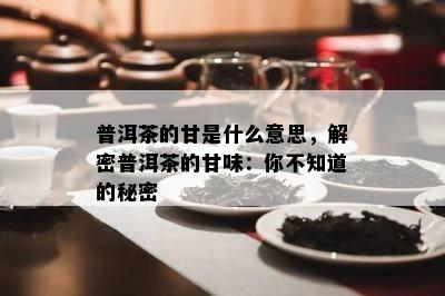 普洱茶的甘是什么意思，解密普洱茶的甘味：你不知道的秘密