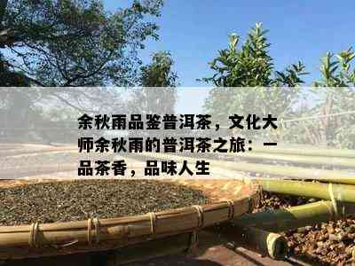 余秋雨品鉴普洱茶，文化大师余秋雨的普洱茶之旅：一品茶香，品味人生