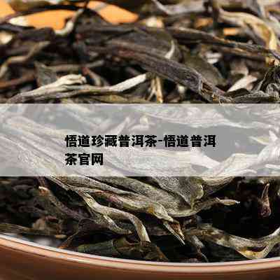 悟道珍藏普洱茶-悟道普洱茶官网