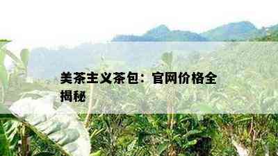 美茶主义茶包：官网价格全揭秘