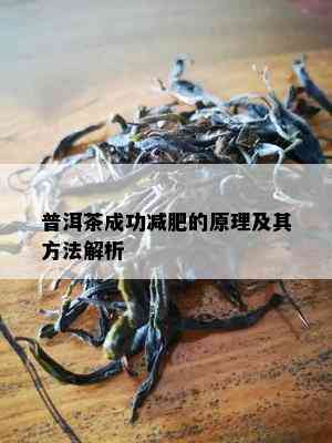 普洱茶成功减肥的原理及其方法解析