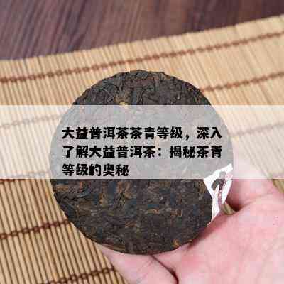 大益普洱茶茶青等级，深入熟悉大益普洱茶：揭秘茶青等级的奥秘