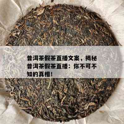 普洱茶假茶直播文案，揭秘普洱茶假茶直播：你不可不知的真相！