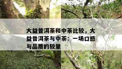 大益普洱茶和中茶比较，大益普洱茶与中茶：一场口感与品质的较量