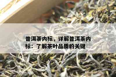 普洱茶内标，详解普洱茶内标：了解茶叶品质的关键