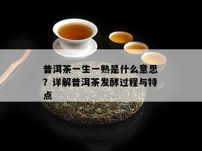 普洱茶一生一熟是什么意思？详解普洱茶发酵过程与特点