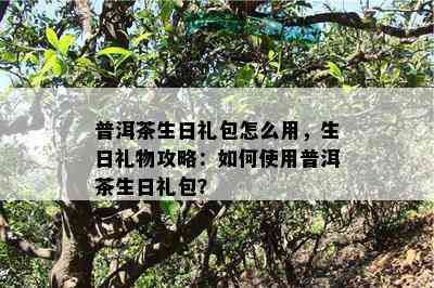 普洱茶生日礼包怎么用，生日礼物攻略：怎样采用普洱茶生日礼包？