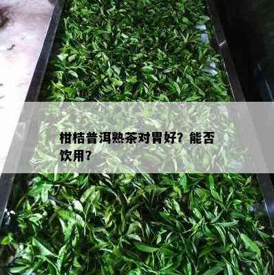 柑桔普洱熟茶对胃好？能否饮用？