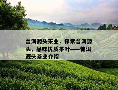 普洱源头茶业，探索普洱源头，品味优质茶叶——普洱源头茶业介绍