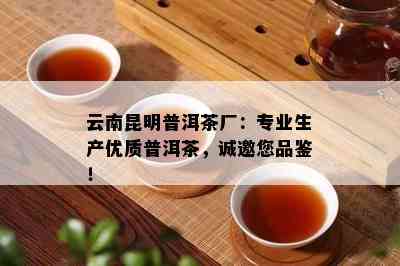 云南昆明普洱茶厂：专业生产优质普洱茶，诚邀您品鉴！