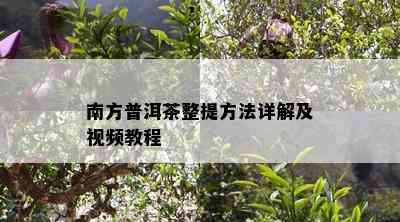 南方普洱茶整提方法详解及视频教程