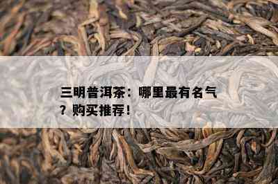 三明普洱茶：哪里最有名气？购买推荐！