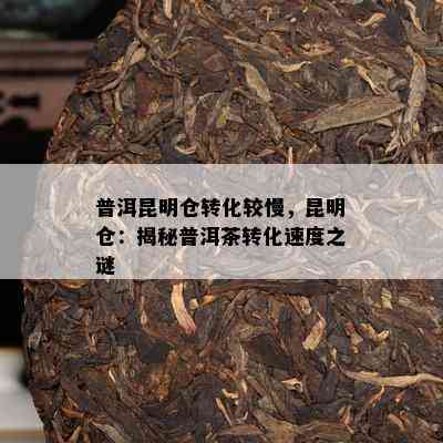 普洱昆明仓转化较慢，昆明仓：揭秘普洱茶转化速度之谜