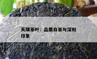 天璞茶叶：品质白茶与深刻印象