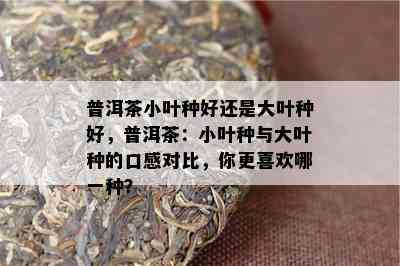 普洱茶小叶种好还是大叶种好，普洱茶：小叶种与大叶种的口感对比，你更喜欢哪一种？