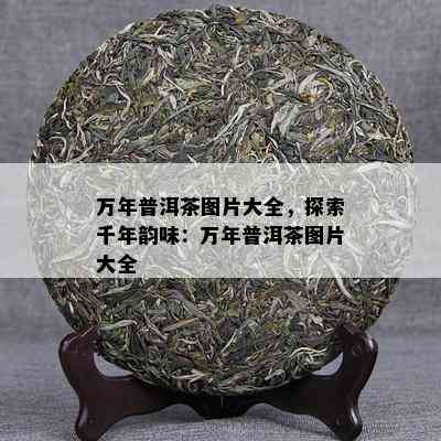 万年普洱茶图片大全，探索千年韵味：万年普洱茶图片大全