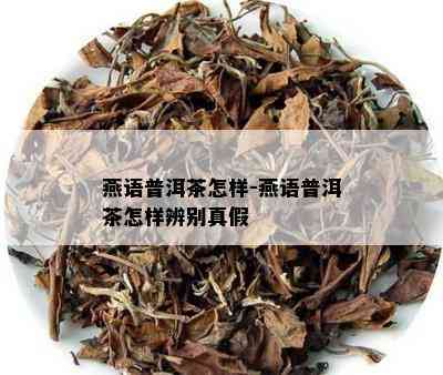 燕语普洱茶怎样-燕语普洱茶怎样辨别真假