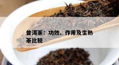 普洱茶：功效、作用及生熟茶比较