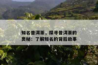 知名普洱茶，探寻普洱茶的奥秘：熟悉知名的背后故事