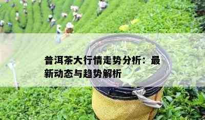 普洱茶大行情走势分析：最新动态与趋势解析