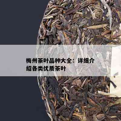 梅州茶叶品种大全：详细介绍各类优质茶叶