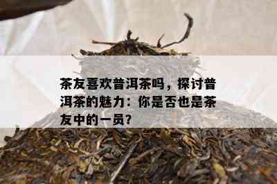 茶友喜欢普洱茶吗，探讨普洱茶的魅力：你是不是也是茶友中的一员？