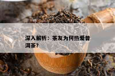 深入解析：茶友为何热爱普洱茶？