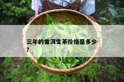 三年的普洱生茶价格是多少？