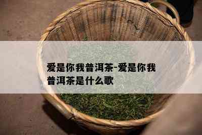 爱是你我普洱茶-爱是你我普洱茶是什么歌