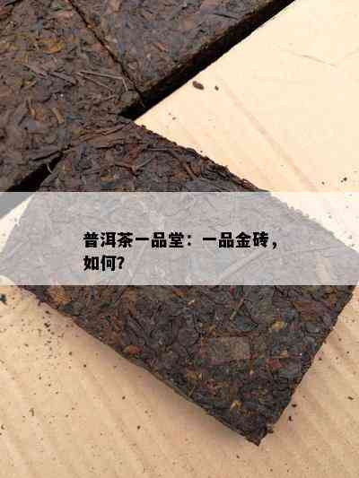 普洱茶一品堂：一品金砖，如何？