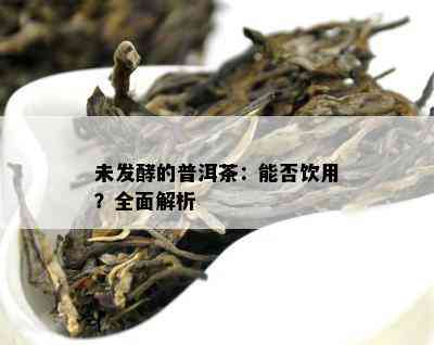 未发酵的普洱茶：能否饮用？全面解析