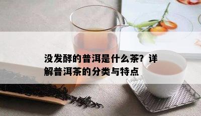 没发酵的普洱是什么茶？详解普洱茶的分类与特点