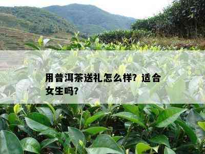 用普洱茶送礼怎么样？适合女生吗？