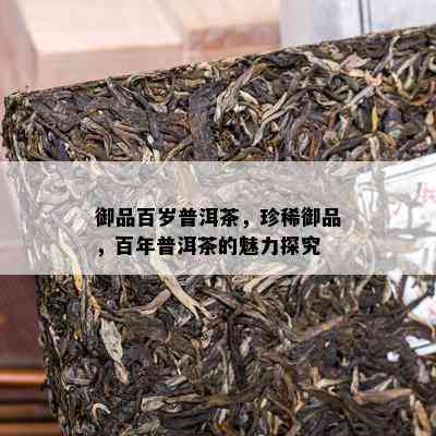 御品百岁普洱茶，珍稀御品，百年普洱茶的魅力探究