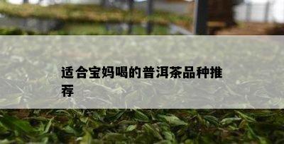 适合宝妈喝的普洱茶品种推荐