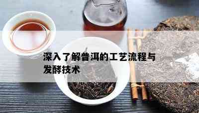 深入了解普洱的工艺流程与发酵技术