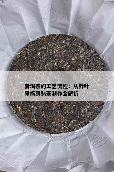 普洱茶的工艺流程：从鲜叶采摘到熟茶制作全解析