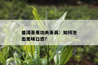 普洱茶用功夫茶具：怎样泡出美味口感？