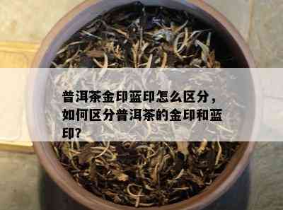 普洱茶金印蓝印怎么区分，如何区分普洱茶的金印和蓝印？