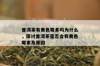 普洱茶有黄色霉素吗为什么，探讨普洱茶是否含有黄色霉素及原因