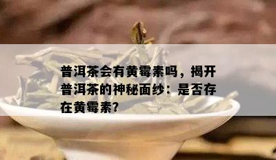 普洱茶会有黄霉素吗，揭开普洱茶的神秘面纱：是不是存在黄霉素？