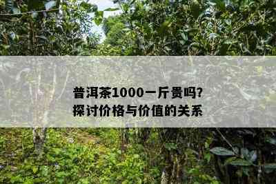 普洱茶1000一斤贵吗？探讨价格与价值的关系