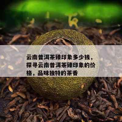 云南普洱茶臻印象多少钱，探寻云南普洱茶臻印象的价格，品味特别的茶香